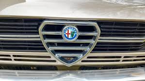 Image result for Gray 1981 Alfa-Romeo