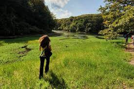 Çatalca yarımadasının doğu ucunda, doğusunda i̇stanbul boğazı. Spacetraveller Activity Istanbul Belgrad Forest
