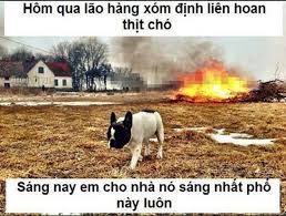 Káº¿t quáº£ hÃ¬nh áº£nh cho hÃ¬nh áº£nh bá»±a nháº¥t