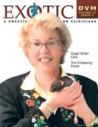 Cassie t pygmy marmoset