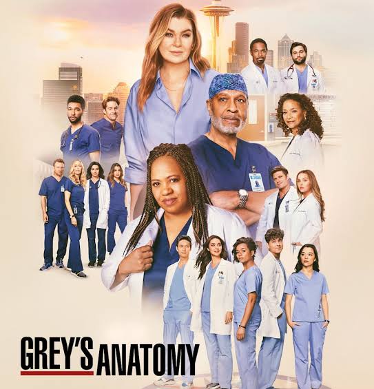 Grey's Anatomy“: Die wichtigsten Ärzte und Rollen im Überblick |  Unterhaltung | BILD.de