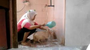 Sebab brain out membatasi durasinya, jika melewati durasi yang ditentukan, kalian akan dianggap gagal memandikan kucing brain out level 171 ini. Brain Out Memandikan Kucing Budak Kucing