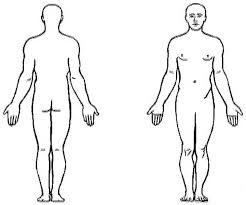 Human Anatomy Coloring Pages For Kids Bulk Color Body Outline Human Body Diagram Body Anatomy