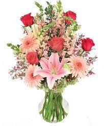 Beautiful bouquets and floral arrangements delivered by the best florists throughout columbus. Columbus Florist Columbus Ga Flower Shop Terri S Florist