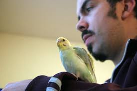 Born Under A Grey Sign