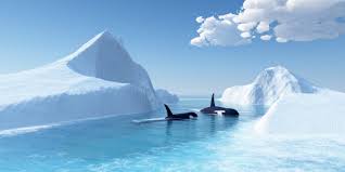 Artículos, videos, fotos y el más completo archivo de noticias de colombia y el mundo sobre antartida. 10 Caracteristicas De La Antartida