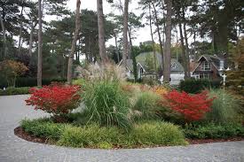 Graser Stauden Und Bodendecker Beran Garten Garten Und Landschaftsbau Garten Landschaftsbau Landschaftsbau Und Bodendecker