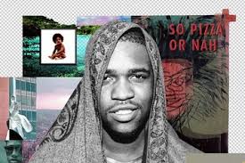 Fiona Cook Contributor Profile