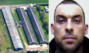 Actor who specialised in playing gangsters jailed for eight years for  running huge drug farm