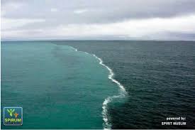 Lebih dari itu, dia sudah berjanji untuk memberi rahmat kepada. Fakta Al Quran Mengungkap Fenomena 2 Air Laut Berbeda Warna Berdampingan Spirit Muslim Spirum