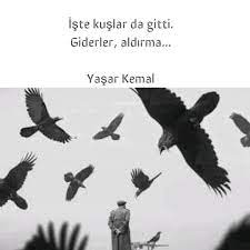 yasar kemal scream leer presentaciones