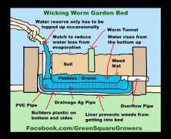 Raised garden beds constructed out of galvanized steel doesn't get too hot even under the full sun. An Even Better Way To Build Wicking Garden Beds A Cracker Of An Idea Vegetable Garden Raised Beds Wicking Garden Bed Garden Beds