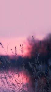 pin on خلفيات mobile wallpapers