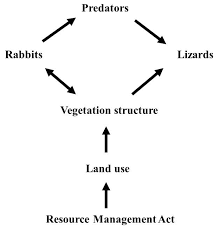 Customers, senior managers and stakeholders all want to know how long it will take to complete a project. Https Newzealandecology Org Nzje 3314 Pdf