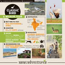 Birding Tours India Wildlife Tour India Tour Holiday Tours