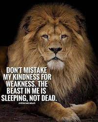 Best 30 Lion Motivational Quotes Home Inspiration Diy Crafts Birthday Quotes And Party Ideas Lion Quotes Inspirational Quotes Motivation Warrior Quotes