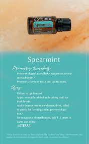 Pin On Essential Oil Tips Tricks