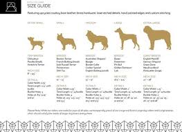 If your puppy is a little on the skinny side give him a tiny bit more food than recommended and if he is looking a bit plump, a little bit less. The Best Dog Collar Sizes For Your Dog