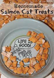 Homemade Salmon Cat Treats Recipe Recipe Homemade Cat Food Cat Treats Homemade Dog Food Recipes