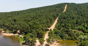 Türkiye'de mutlaka görülmesi gereken 10 müze. Istanbul Da Hafta Sonu Dogada Gezilecek En Guze 29 Yer Biletbayi Blog