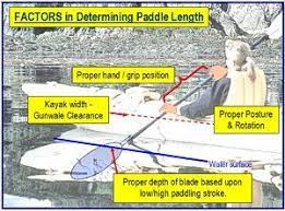 Kayak Paddle Length How To Pick The Right Size Kayaking Kayak Paddle Kayaking Gear