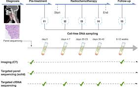Is lung cancer in your neck and can you feel it. possible,,,: Dynamics Of Cell Free Tumour Dna Correlate With Treatment Response Of Head And Neck Cancer Patients Receiving Radiochemotherapy Radiotherapy And Oncology