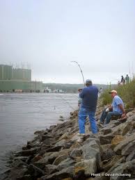 High Tides Hot Fishing To Come At The Cape Cod Canal Us
