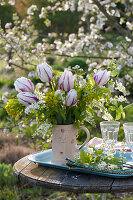 Image result for dipladenie amonea