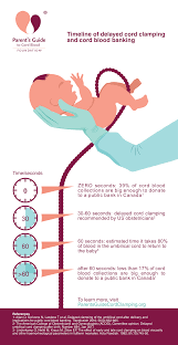 What do cord blood test results mean? What Is Delayed Cord Clamping