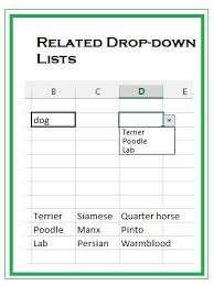 Create A Drop Down List That Represents The Results Of The First Drop Down List Related Drop Down Lists Komputer