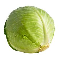 Cabbage