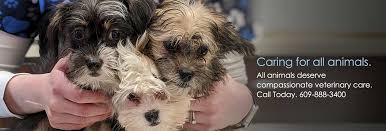 Please feel free to make any other comments, good or bad, that will allow us to serve you better. Hamilton Veterinary Hospital Trenton Veterinarians