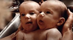 We would like to show you a description here but the site won't allow us. All We Know About World Famous Conjoined Twins Abby And Brittany Hensel S Private Lives And Careers