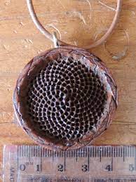 Pin On Fibonacci Numbers