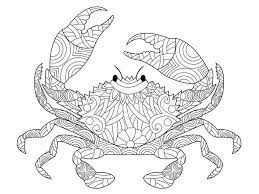 Relax and unwind after work with these epic crab coloring book and bring them to life in your own way. Crab Coloring Book Vector For Adults Stock Vector Illustration Of Drawn Ornament 73486111