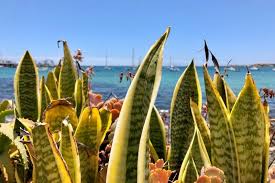 Affittare il proprio appartamento, casa, immobile, villa o abitazione. Quanto Costa Vivere Alle Canarie Costo Della Vita Alle Canarie Twa