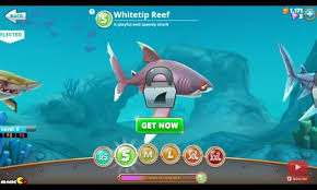 The Shark That Is Playful And Speedy Whitetip Reef Shark From Hungry Shark World Reef Shark Shark World