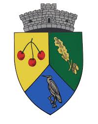 Vremea comlosu mare, afla starea vremii si prognoza meteo pentru urmatoarele 15 zile. Dumbrava TimiÈ™ Wikipedia