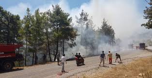 5 ilde daha yangın çıktı son dakika haberi: Son Dakika Antalya Manavgat Ta Orman Yangini