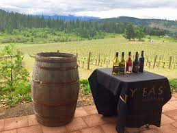 The best doctors and methods without a scalpel. Exploring Hood River Wineries By Foot 52 Perfect Days