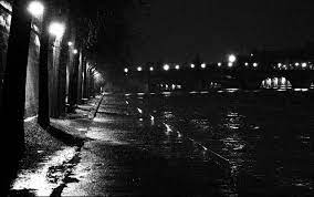 Luc Dartois 2008 Paris La Nuit Sous La Pluie Quais De Seine Et Pont Royal En 2021 Paysage Pluie Paysage Nuit Noir Et Blanc
