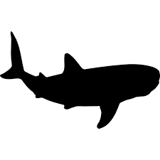 Free Free 348 Svg Shark Fin Outline SVG PNG EPS DXF File