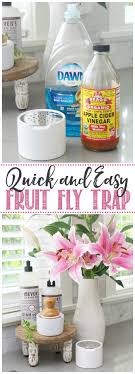 how to get rid of fruit flies clean