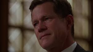 Law & Order: Special Victims Unit: Man Down