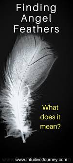 What Does It Mean To Find Angel Feathers Angel Feathers Finding Feathers Feather