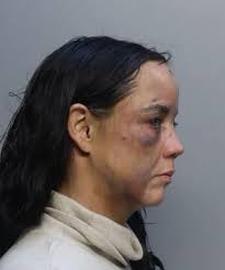 Miami-Dade County Mugshots...