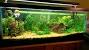 Nano Reef Tank