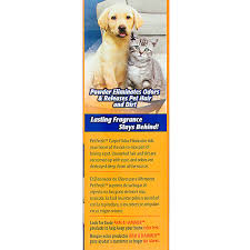 You can make this homemade carpet deodorizer even if you've never made anything before. Arm Hammer Plus Oxiclean Pet Fresh Dirt Fighters Carpet Odor Eliminator Dog Stain Odor Removers Petsmart