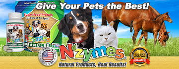 The best home coffee machine for budding baristas. Nzymes Reviews Facebook