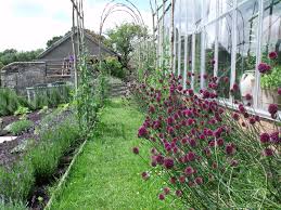 Pin On Garden
